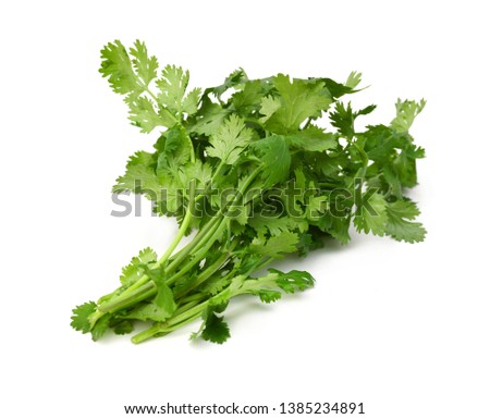 Stack Cilantro on white background 
