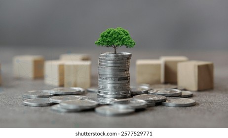 Stack of coin with  growing tree on top showing financial development and bussiness growth