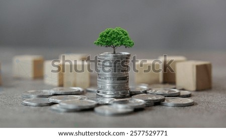 Stack of coin with  growing tree on top showing financial development and bussiness growth