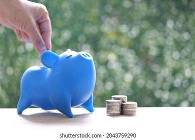 Stack of coins money and piggy bank on natural green background, Business investment and Real estate concept