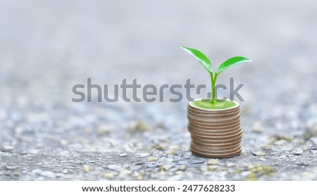  stack of coins on a textured surface, with a small green plant sprouting from the top coin. Green investment concept ,Rising money to invest. financial growth concept