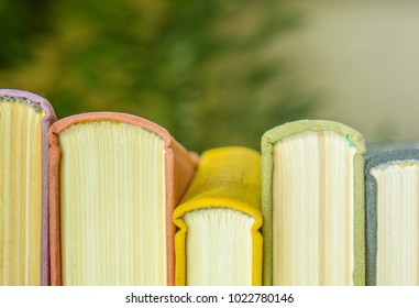 A Stack Of Colorful Books. Education, Knowledge, Learn, Study And Wisdom Concept. Horizontal Layout Of Childrens Books. Front Of Books With Colorful Covers.