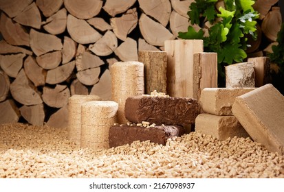 Stack of compressed biomass briquettes of various shapes with chopped firewood placed on pile of fuel pellets in daylight