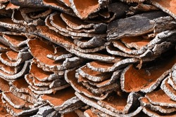 Stack Of Cork Oak Bark In A Village In Portugal