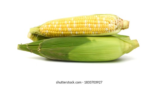 Stack Corn on a white background  - Shutterstock ID 1833703927