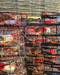 A Stack Of Crab Traps Loaded With Colorful Buoys And Line Sit Waiting For The Beginning Of Crab Season