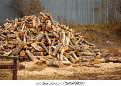 A stack of cut firewood