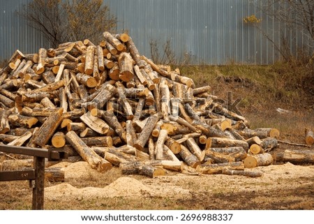 A stack of cut firewood