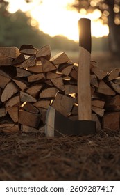 Stack of cut firewood and axe in forest, closeup