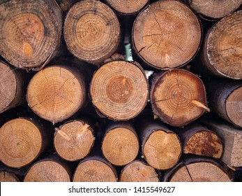 Stack Of Cut Firewood. Concentric Circles. Tree Dating. Dendrochronology.