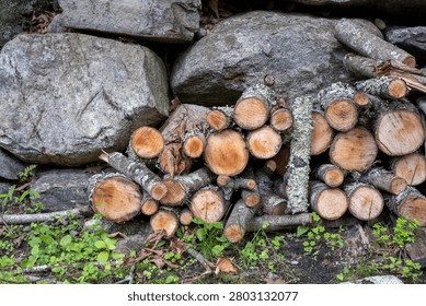 Stack of cut firewood logs against a stone wall in nature