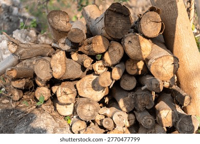 A stack of cut logs arranged neatly outdoors, showcasing various shades of brown and textures in natural sunlight.