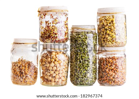 Stack of Different Sprouting Seeds Growing in a Glass Jar Isolated on White Background