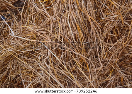 Stack of dry hay grass texture stockimage 