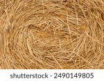 Stack dry hay. Hay texture. Hay bale is stacked in large stack. rural autumn with hay. straw summer background. haystack straw prepared for farm. Haystack preservation