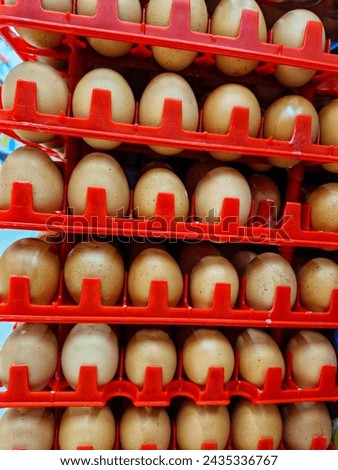 Stack of eggs in tray