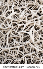 Stack Of Elk Antlers In Jackson, Wyoming