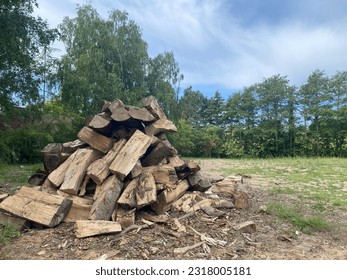 Stack of fire wood on yard with trees and cloudy sky at background