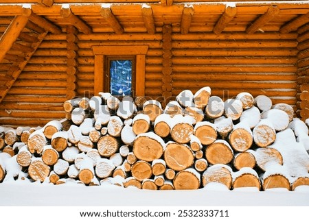 Similar – Image, Stock Photo Nature Textures: Authentic Forest, Wood, Grass, and Leaf Details.