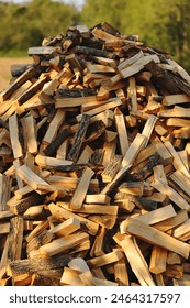 A stack of firewood with a hand chopping block. Stacking Firewood. Chopped firewood for the winter. A lot of firewood - harvesting wood for heating the house