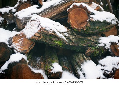 stack of firewood with moss and snow