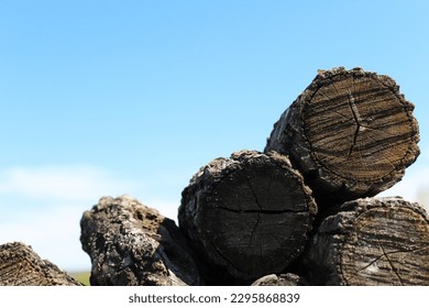 stack of firewood on the background of a clear blue sky