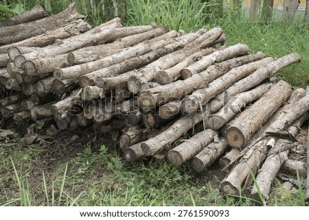 Stack of firewood on grass