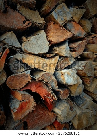 A stack of firewood or woodlog