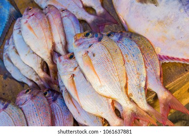 Stack Of Fish In Market, Gambia