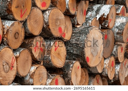 Stack of freshly cut logs with red markings, timber industry and forestry management concept, natural wood texture and sustainable resources