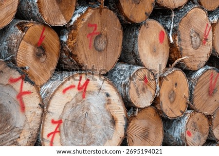 Stack of freshly cut logs with red markings, timber industry and forestry management concept, natural wood texture and sustainable resources