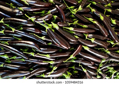 A stack of freshly picked organic eggplants for sale at local produce farmers market display. Harvest heap of aubergine vegetables at supermarket counter. Clean eating concept. Background, close up.