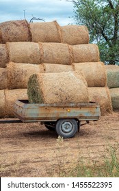 A stack of hay loaded in the trailer after the harvesting of the crops. The concept of harvesting, agricultural work, village life