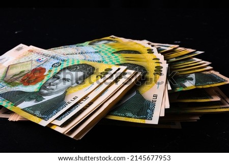 Stack of LEI Romanian money. RON Leu Money European Currency