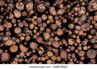 Stack of logs