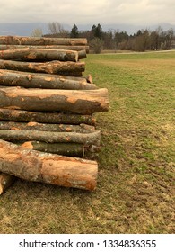 Stack of logs for firewood 