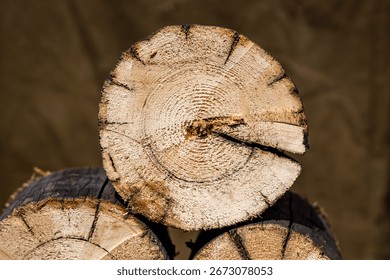 A stack of logs on a stump, representing readiness for winter, human effort, and the cycle of nature's resources with selective focus on the wood
