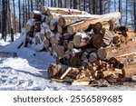 Stack of Logs in a Snow-Covered Forest Highlighting Timber Harvesting and Winter Landscapes