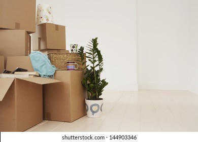 Stack von beweglichen Kisten und Topfpflanzen im neuen Haus