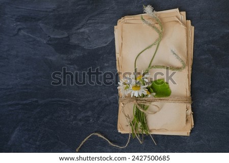 stack of old aged paper torn off edges tied with coarse hemp twine, sentimental rustic memories decorated with cute bouquet of weed daisies, sentimental journey, storytelling, contemplation