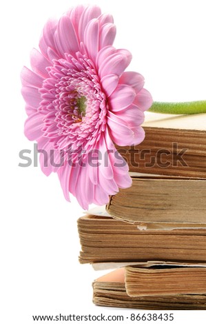 Stack of old books with pink mum flower