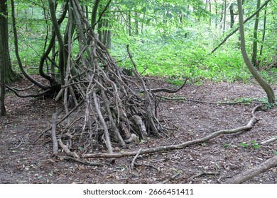 A stack of old branches leaning to make a small campsite in the woods