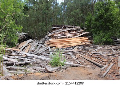 Stack Of Old Lumber Surrounded By Trees, Messy Pile Of Wood