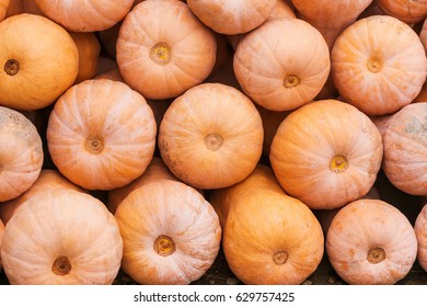 Stack of orange pumpkins