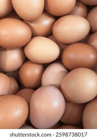 Stack of Organic Brown Eggs