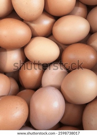 Stack of Organic Brown Eggs
