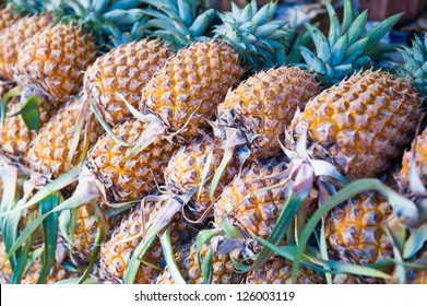 Stack Of Pinapple Fruits