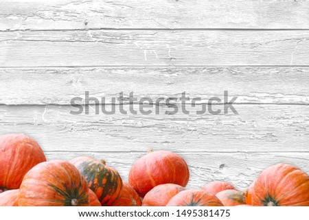 stack of pumpkins on blank white wood background autumn season greeting bacground 