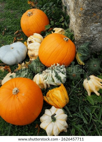 Stack of Pumpkins and Squash