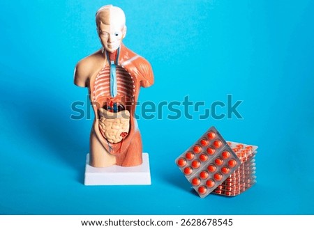 Stack of red pills on blue background and human model. Concept of treatment of gastrointestinal diseases, probiotics and laxatives.